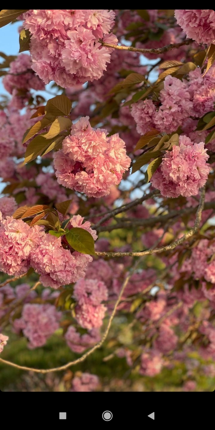 Fjxkgdgkdogdogdyidoydyoytiditstistsutsutsits