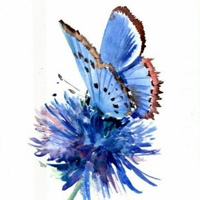 Любовь Быкова