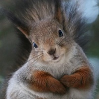 Амина Артуровна