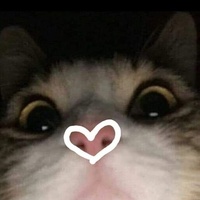 Полина Липинская