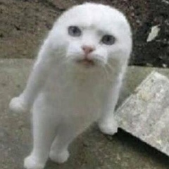 Маргарита Васильева