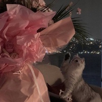 Ирина Копьева