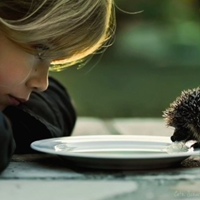 Инна Мищенко