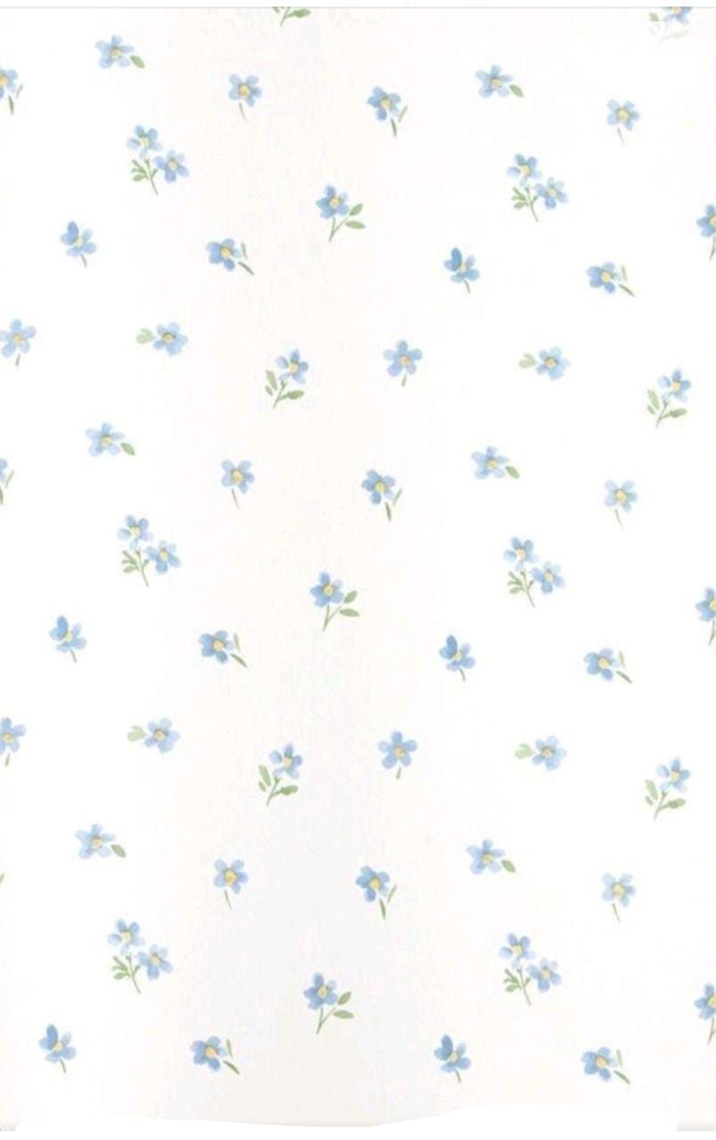 Дорамшикца