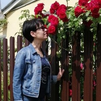 Лариса Широкова