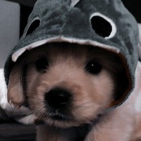 Рисовка Батырева