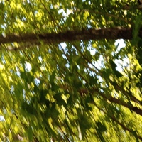 Гулим Женисканова