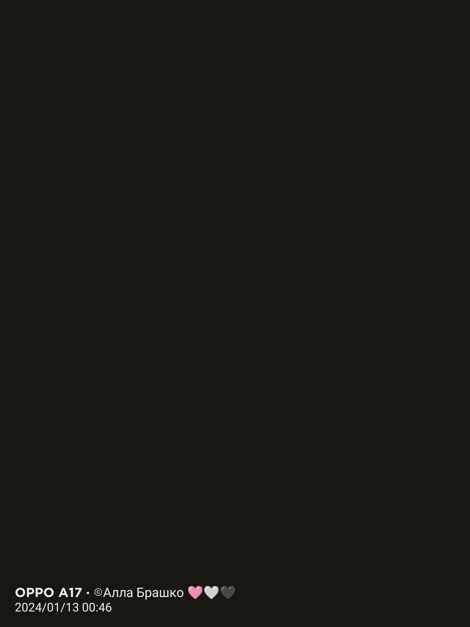 Анонімний користувач