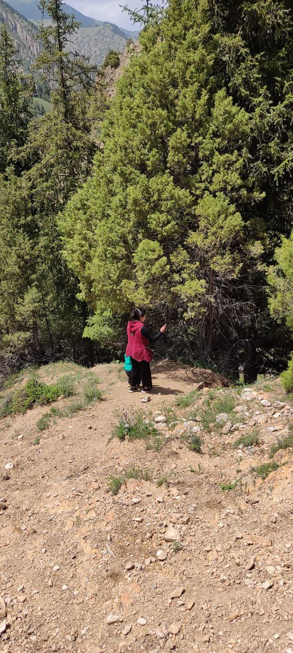 Гульназ Сейдакматова