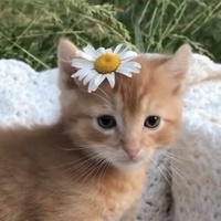 Мария Печенкина