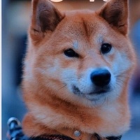 Елизавета Жеглова