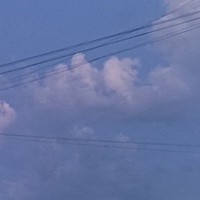 Варвара Аксёнова