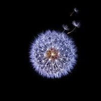 Жанерке Сексембаева