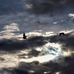 Валентина Винтчинкина