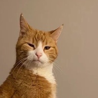 Кисум Омарова