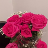 Дулма Комиссарова