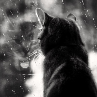 Георгий Баталов