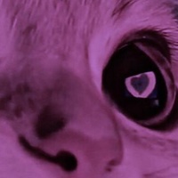 Алекей Ветров