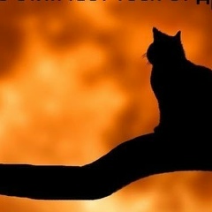 Снежинка Асан