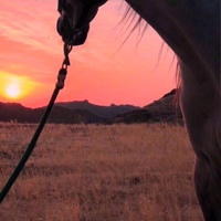 Динара Берикова