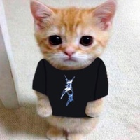 Анастасия Берестовская