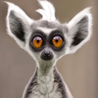 Александр Доронин