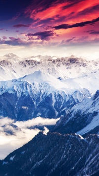 Елена Ежикова