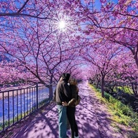 Никита Орлов