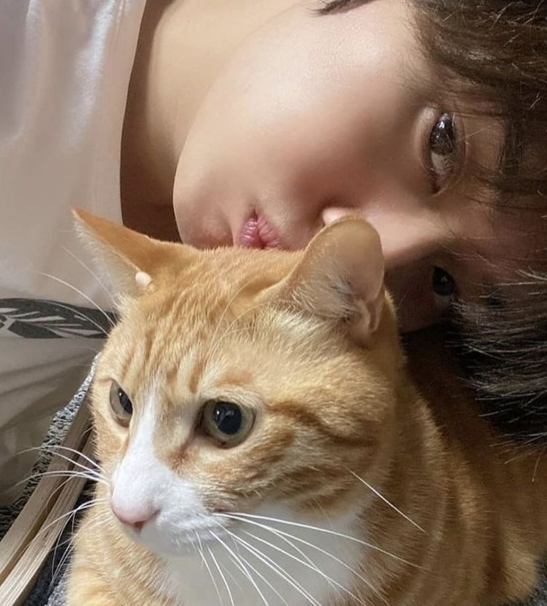 Курочка Чонсана