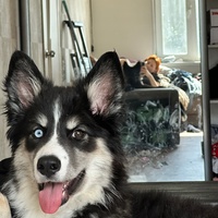 Кэтрин Айваседо