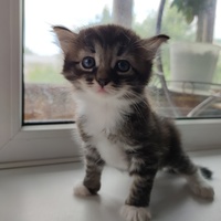 Наталия Поздина