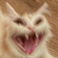 Анастасия Константинова