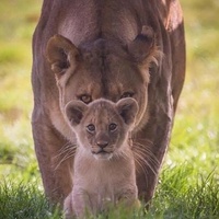 Лилия Агамалян