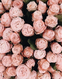 Елена Злобина