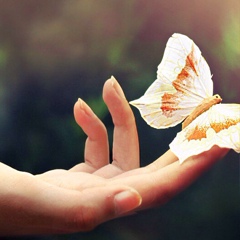 Аягоз Копбаева