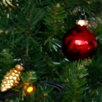 Надежда Забалуева