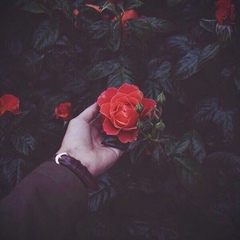 Гулнур Абдуллакызы