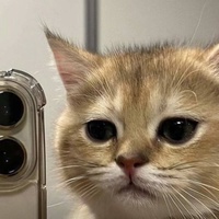 Нарине Варданян