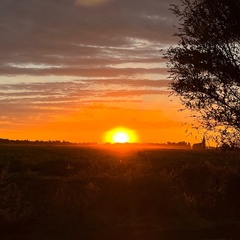 Мальвина Марлисова