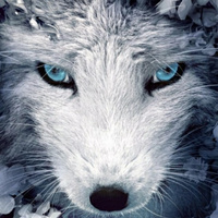 Карина Ерёменко