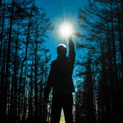 Димитрий Цомая