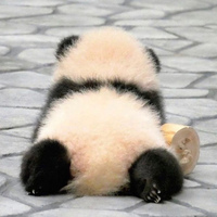 Айдана Елубаева