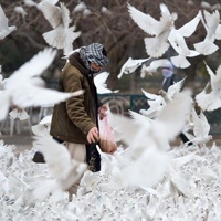 Анжела Магомадова