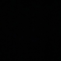 Ксения Николаева