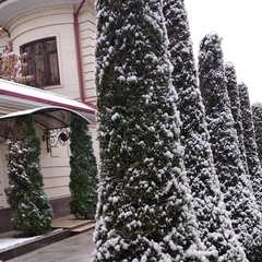 Кахрамон Шабаев