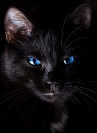 Валера Нормальный