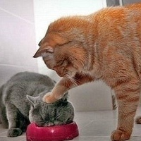 Галина Воробьева