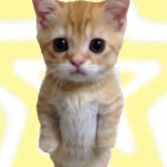 Соня Саврасова