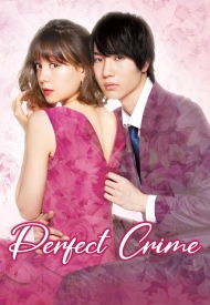 Постер дорамы «Идеальное преступление»